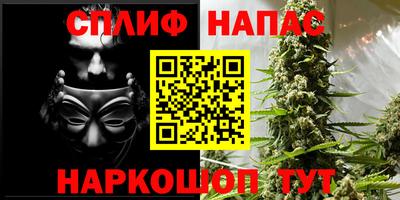 амф Дубна