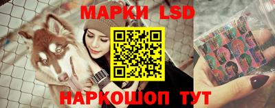 дмт Донской
