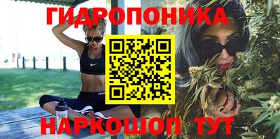 дмт Донской