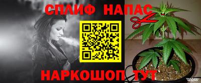 дмт Донской