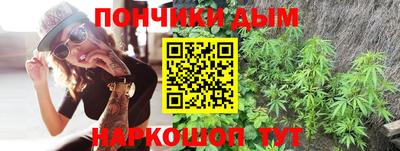 амф Дубна